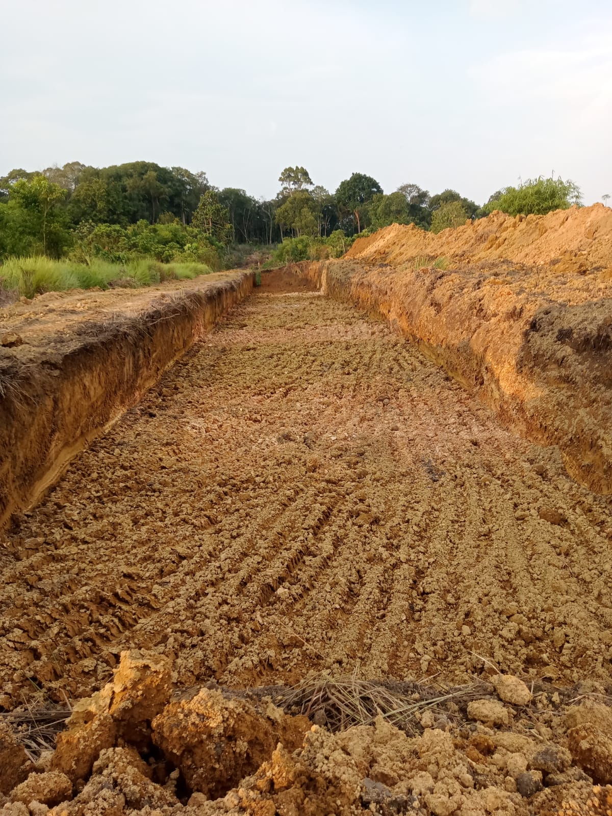 WhatsApp Image 2023-11-04 at 21.52.05