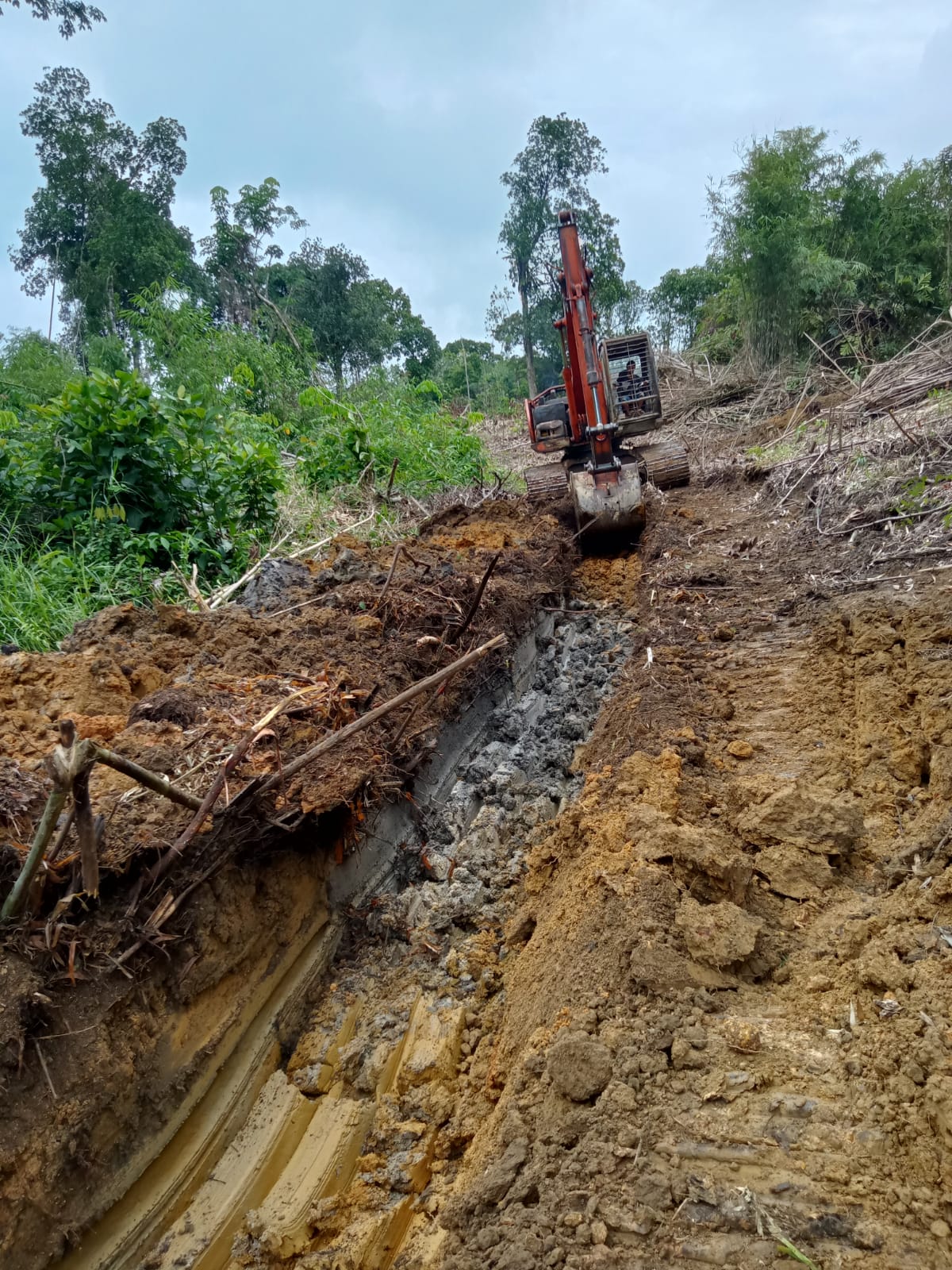 WhatsApp Image 2023-11-04 at 21.55.42