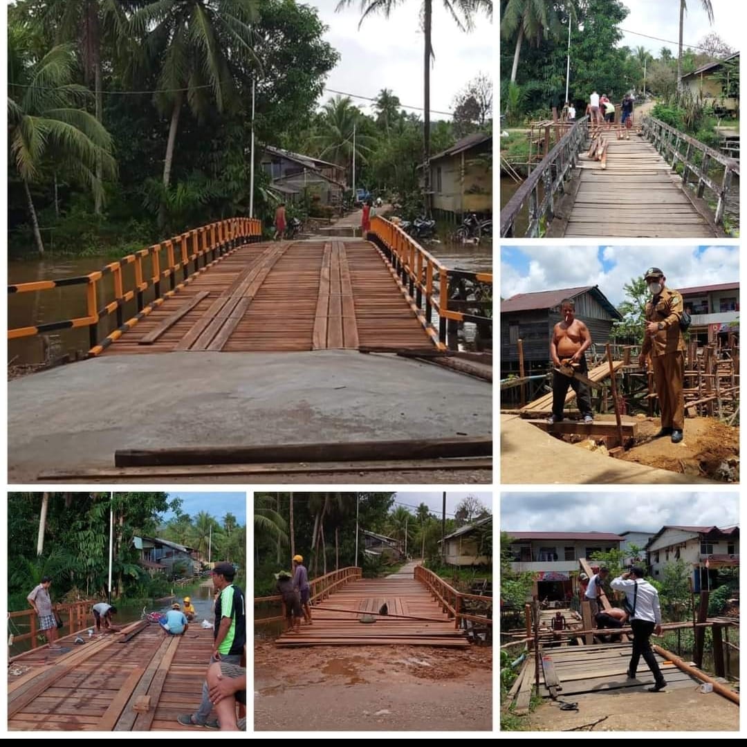 IMG-20240311-WA0055(1)