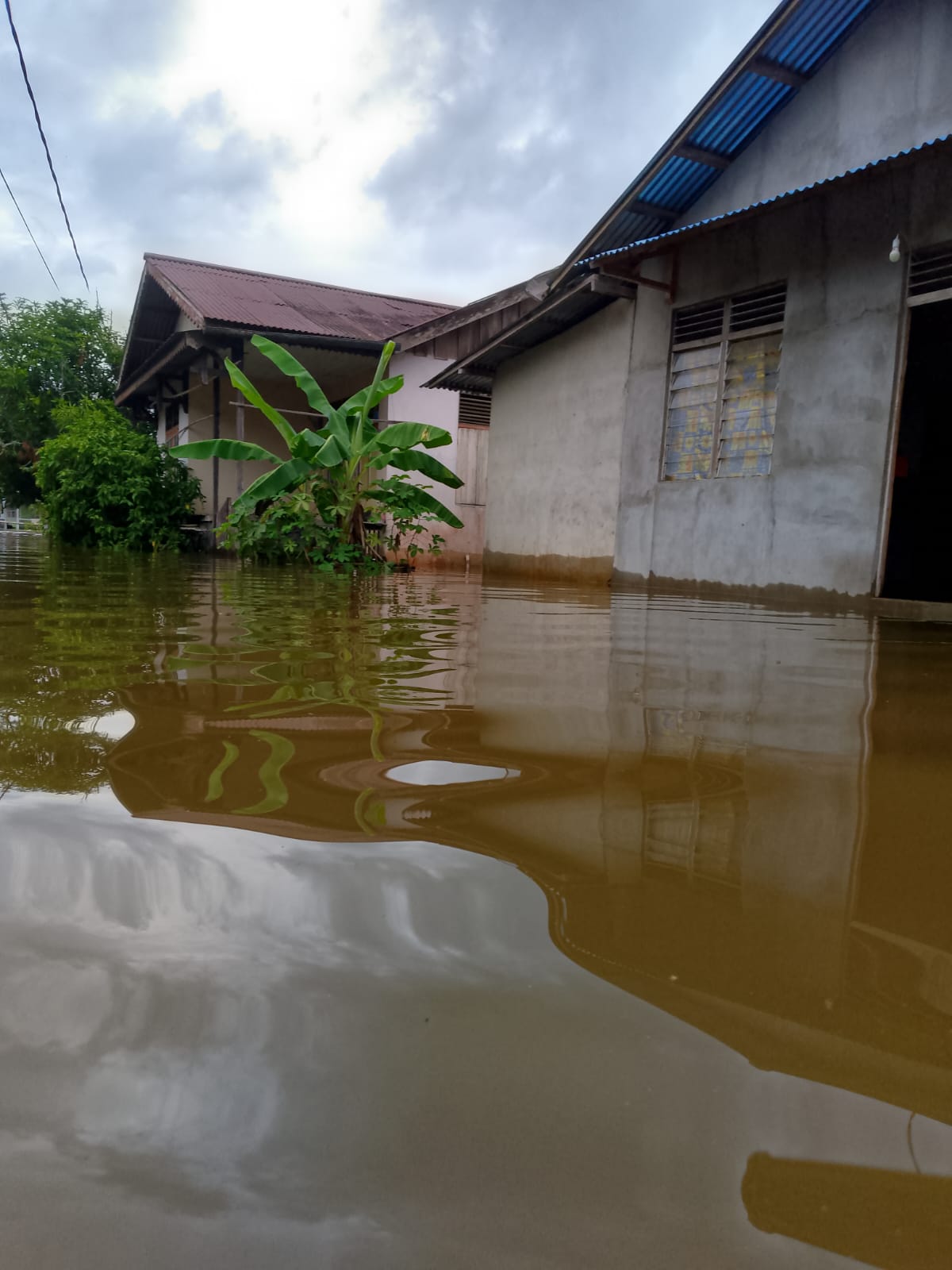 WhatsApp Image 2024-10-10 at 23.53.57