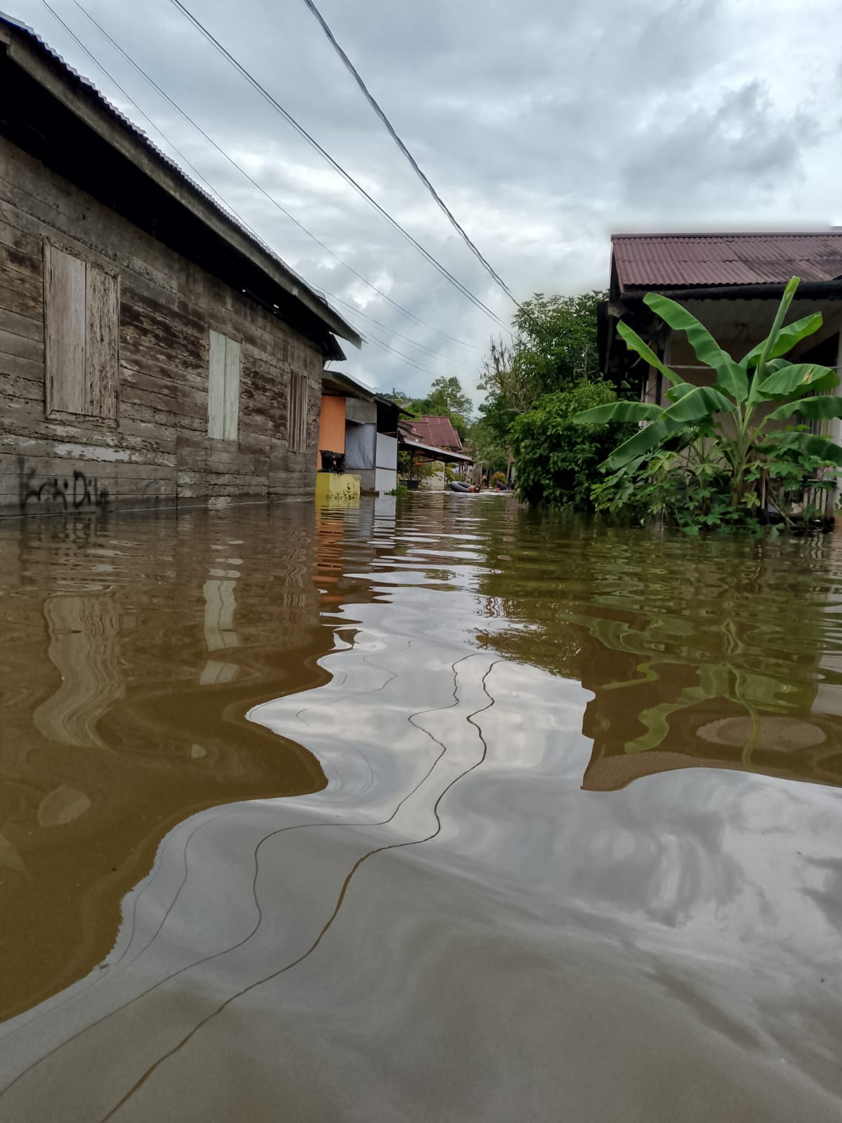 WhatsApp Image 2024-10-10 at 23.54.39