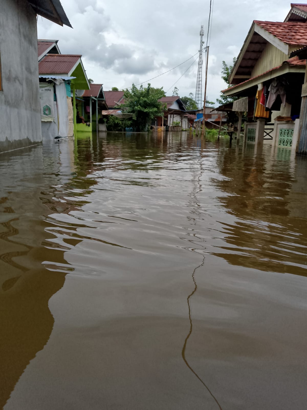 WhatsApp Image 2024-10-10 at 23.54.40