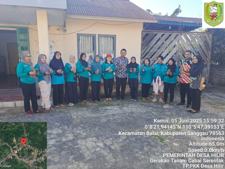 TP-PKK Desa Hilir Sukses Laksanakan Program Penanaman Cabai Serentak Bersama TP-PKK Kabupaten Sanggau